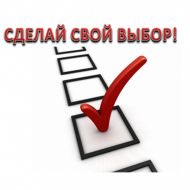 Сделай свой выбор в День самоуправления Сделай свой выбор в День самоуправления
